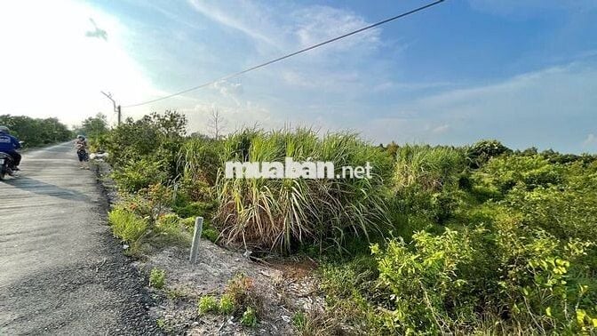ĐẤT NỀN KDC MỚI XÃ THANH MỸ - CÓ THƯƠNG LƯỢNG