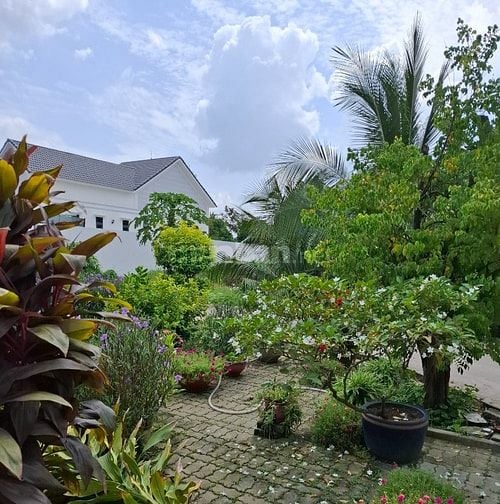 🔥C.Chủ. CỰC MỀM 330M² THỔ CƯ + VILLA MẶT TIỀN Đ.SONG HÀNH QL22.13,9Đ