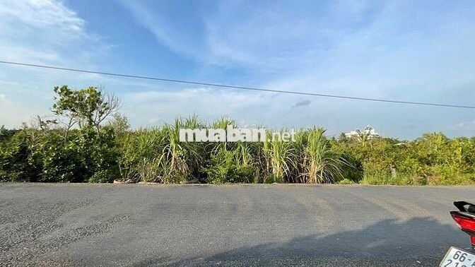 ĐẤT NỀN KDC MỚI XÃ THANH MỸ - CÓ THƯƠNG LƯỢNG