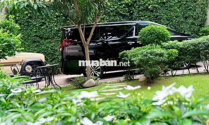 Toyota Alphard Executive Lounge
