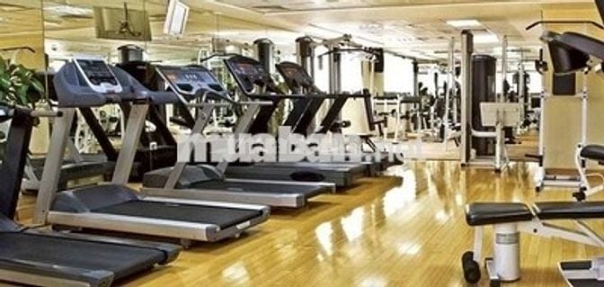 cần cho thuê nhiều căn hộ tại chung cư the botanica
