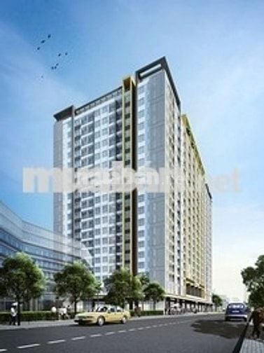 cần cho thuê nhiều căn hộ tại chung cư the botanica