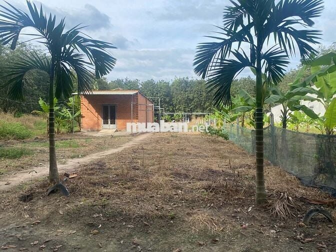 🏡 CHÍNH CHỦ CẦN BÁN ĐẤT VƯỜN ĐẸP – ĐƯỜNG DH615, LONG NGUYÊN
