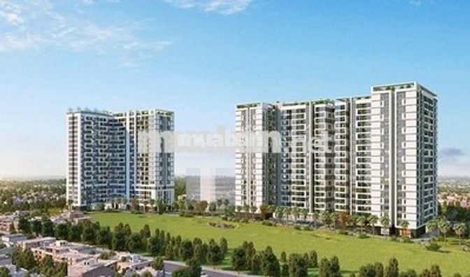 cần cho thuê nhiều căn hộ tại chung cư botanica premier