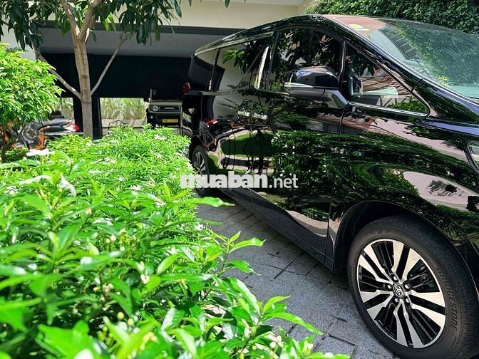 Toyota Alphard Executive Lounge