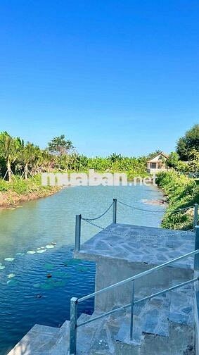Chính chủ bán 5.000m² đất vườn 328m² thổ cư, mặt tiền 200m, có hồ & su