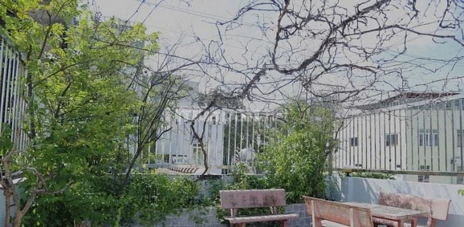 Tòa Nhà Văn Phòng Trần Hưng Đạo Q1, 6m x 20m, 6 Tầng, HĐT 80 triệu/th
