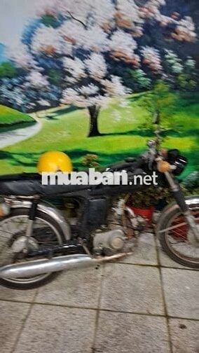Honda 67 Đen Cổ điển