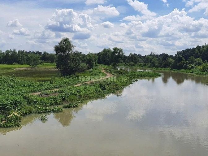 1,3 triệu/m2 !!! ĐẤT VEN SÔNG SÀI GÒN - XÃ AN PHÚ - HUYỆN CỦ CHI 
