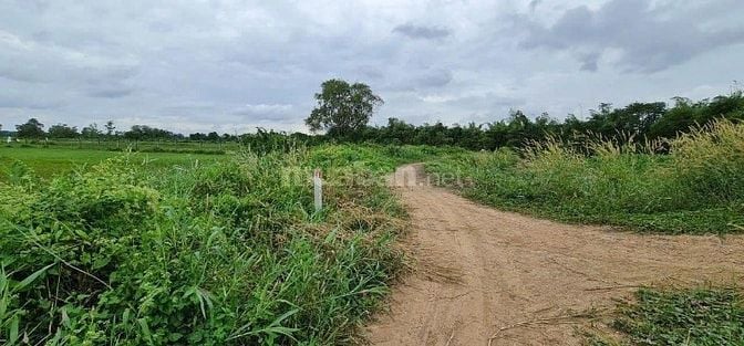 1,3 triệu/m2 !!! ĐẤT VEN SÔNG SÀI GÒN - XÃ AN PHÚ - HUYỆN CỦ CHI 