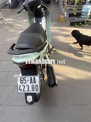 Honda Wave Alpha 50 cc 2025