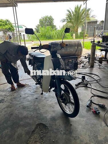 Honda Cup 50 1996 Xanh, Trắng