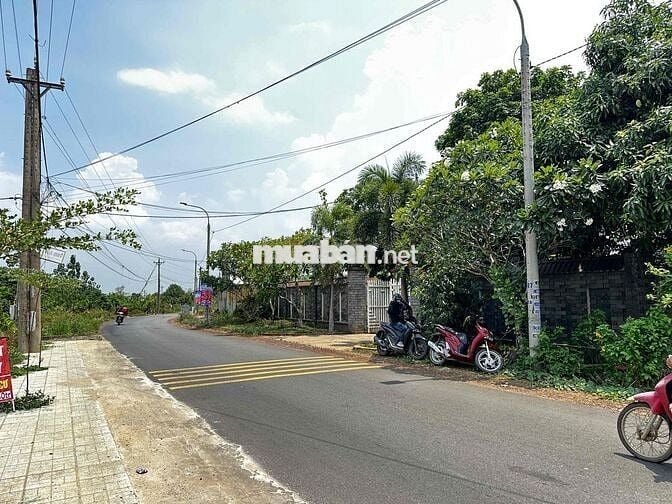 Đất Thổ Cư - Mặt Tiền Chính - Sát Chợ Bàu Hàm