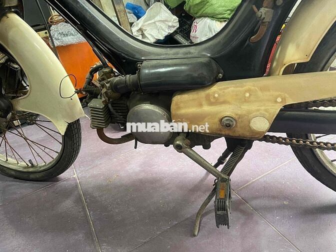 xe honda pc50 cổ 1966