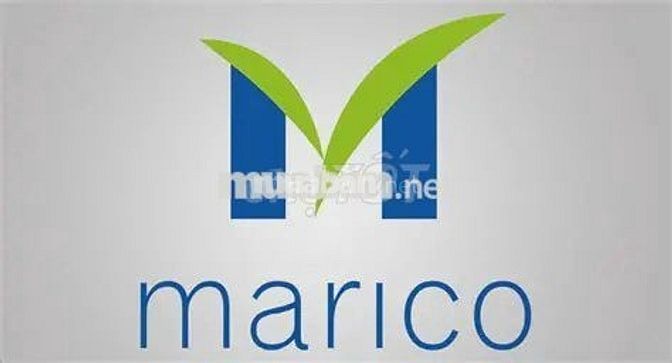 MARICO TUYỂN NHÂN VIÊN SALE THỊ TRƯỜNG 