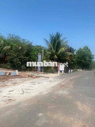 Đất Vườn Có Thổ Cư 10x50m Mặt Tiền Đường Nhựa