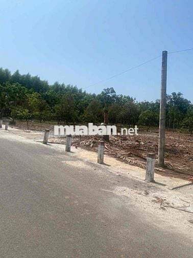 Đất Vườn Có Thổ Cư 10x50m Mặt Tiền Đường Nhựa