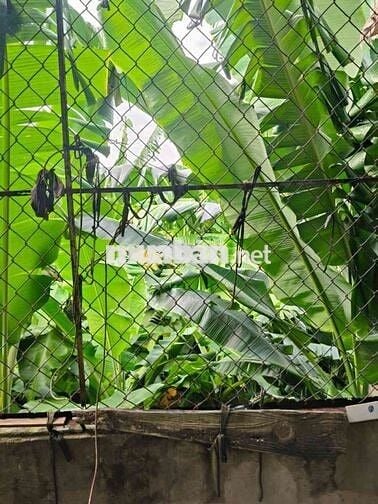 NHÀ 3TẦNG CŨ, CẢI TẠO ĐƯỢC - BÀ ĐIỂM, HÓC MÔN - DT 28M2 (3,5X9) HẺM 3M