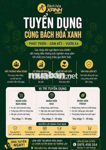 TUYỂN DỤNG NHÂN SỰ BÁCH HÓA XANH