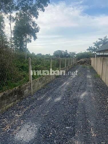 6 triệu/m2 !!! BÁN ĐẤT MẶT TIỀN ĐƯỜNG TRUNG AN, XÃ BÌNH MỸ, TP.HCM.