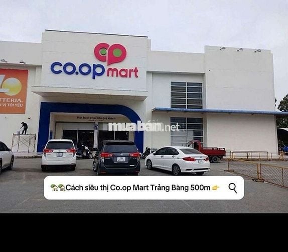 10x38=379m2 thổ cư Đường DT84 cạnh KCN Trảng Bàng, SHR, Giá 650tr