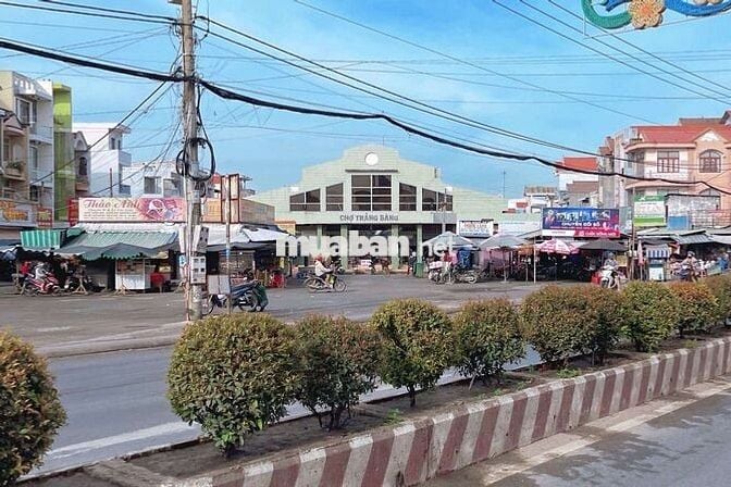 10x38=379m2 thổ cư Đường DT84 cạnh KCN Trảng Bàng, SHR, Giá 650tr