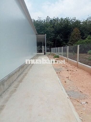 Nhà nguyên căn yên tĩnh hẻm xe hơi