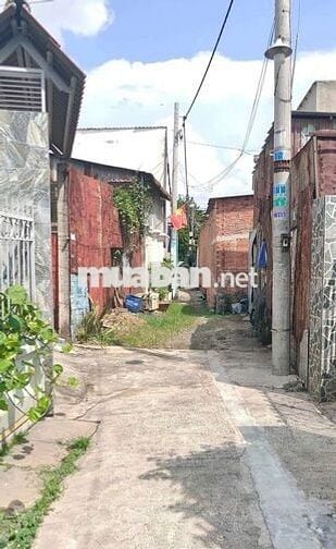 Biệt thự vườn 2/Thới Tam Thôn 17-Hóc Môn.Dt 15,6x19~295m2~2 tấm. 7,5ty