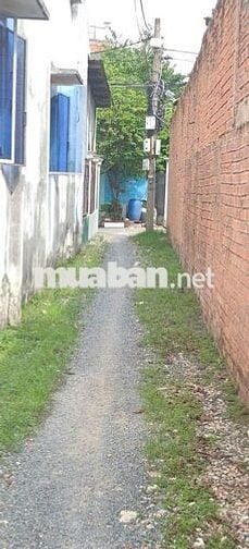 Biệt thự vườn 2/Thới Tam Thôn 17-Hóc Môn.Dt 15,6x19~295m2~2 tấm. 7,5ty
