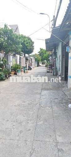 Biệt thự vườn 2/Thới Tam Thôn 17-Hóc Môn.Dt 15,6x19~295m2~2 tấm. 7,5ty