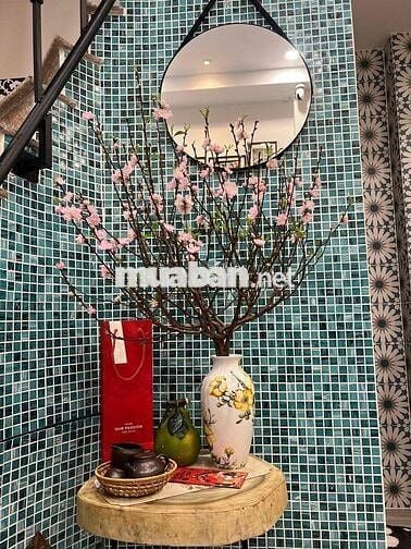 Chính chủ cần bán nhà mới đẹp vào ở ngay trung tâm quận 3