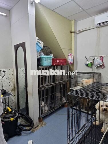 GIÁ RẺ - LÊ VĂN SỸ, Q3 - 50M2 KHÔNG LỘ GIỚI - VÀI BƯỚC RA MẶT TIỀN