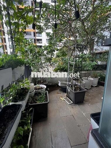 Căn hộ sân vườn đầy đủ nội thất