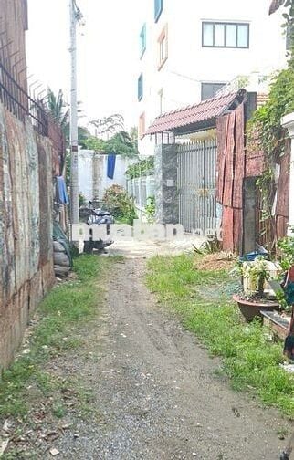 Biệt thự vườn 2/Thới Tam Thôn 17-Hóc Môn.Dt 15,6x19~295m2~2 tấm. 7,5ty