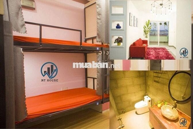 Đại học Hoa Sen HSU Thành Thái Phòng thuê ghép Văn phòng Sinh viên