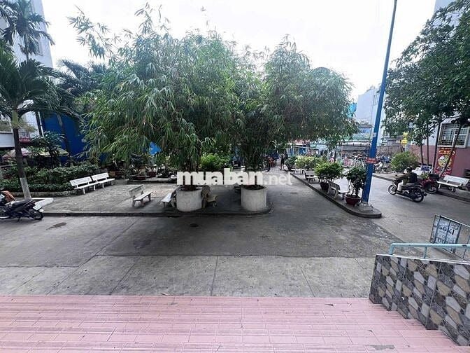 Căn Hộ Chung Cư Nguyễn Biểu - Gần Trung Tâm Thành Phố Cho Thuê