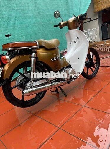 Cup 50cc Vàng đồng, Trắng