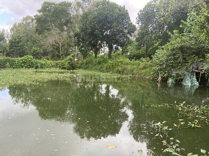 CHÍNH CHỦ BÁN KHUÔN VIÊN NHÀ VƯỜN RỘNG 3.500M² – VỊ TRÍ ĐẸP TẠI BÌNH Đ