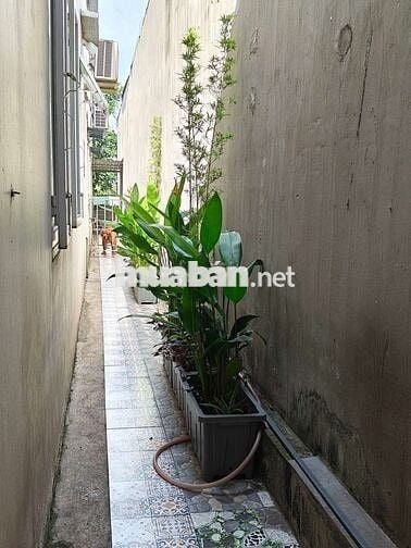 Bán nhà gần ngay trường Thới Hoà Mỹ Phước 3 Bến Cát Bình Dương