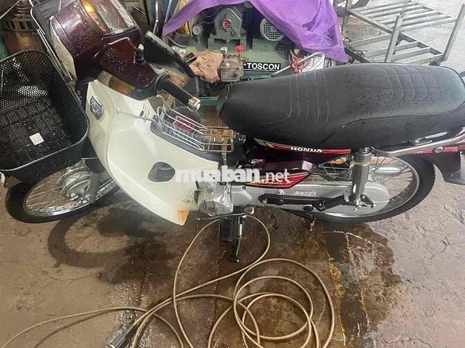 Honda Dream Thái 2023 Đỏ mận, Trắng