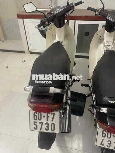 Honda Dream Thái 2023 Đỏ mận, Trắng