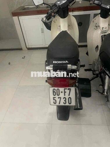 Honda Dream Thái 2023 Đỏ mận, Trắng