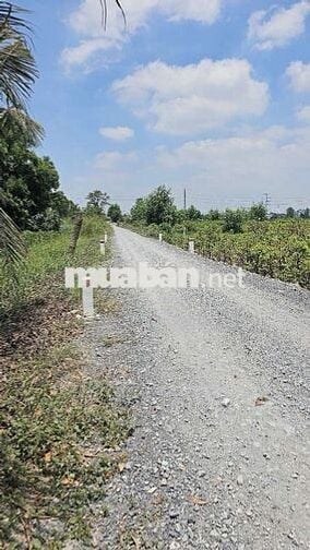 1ty700 triệu 1 công có 2.390m2