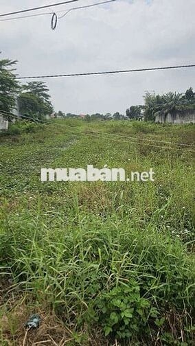 1ty700 triệu 1 công có 2.390m2