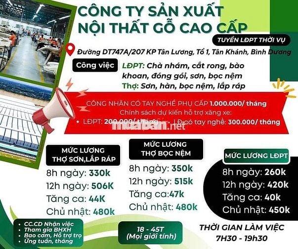 Việc làm LĐPT - Làm online