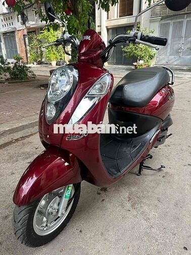 SYM Elite 50cc 2023 Đỏ 6.000km.BSTP 1 đời chủ