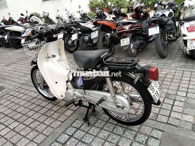 xe cup 50cc