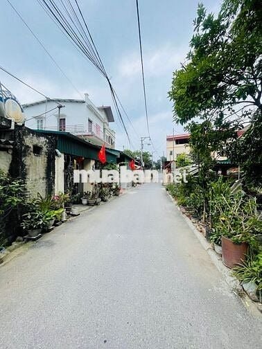 Chính chủ bán mảnh đất 110m đường kiêu kỵ giáp Vinhomes Ocean park