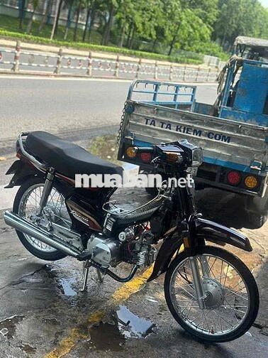 Honda Super Dream 2004 Nâu Số sàn