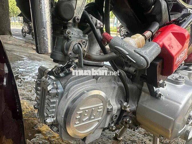 Honda Super Dream 2004 Nâu Số sàn